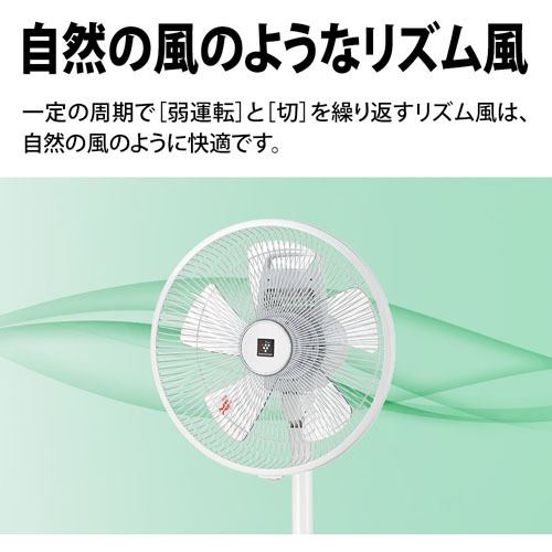 シャープ PJR3AS リビングファン プラズマクラスター扇風機 W | ヤマダ 