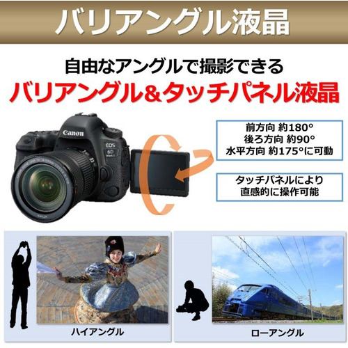 キヤノン EOS6DMK2-BODY デジタル一眼カメラ EOS 6D Mark II ボディ 
