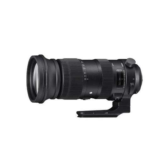 シグマ 60-600mm F4.5-6.3 DG OS HSM Sports カメラレンズ キヤノン用