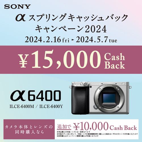 【推奨品】ソニー ILCE-6400YS デジタル一眼カメラ ダブルズームレンズキット シルバー
