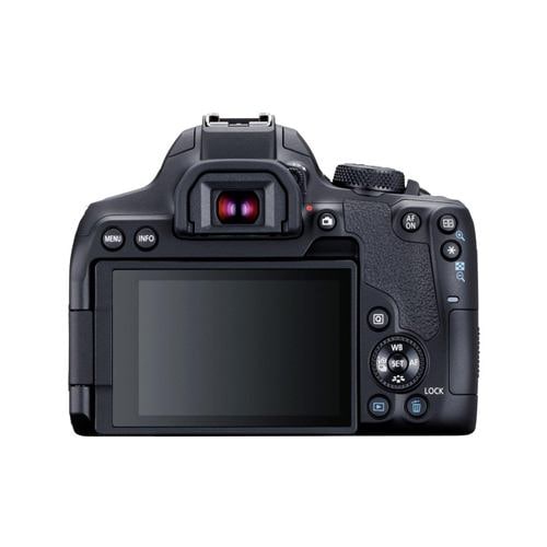 キヤノン　Canon EOS 6D mark II標準&望遠&単焦点レンズセット