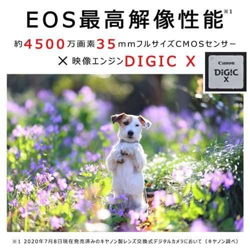 キヤノン EOSR5 ミラーレスカメラ | ヤマダウェブコム