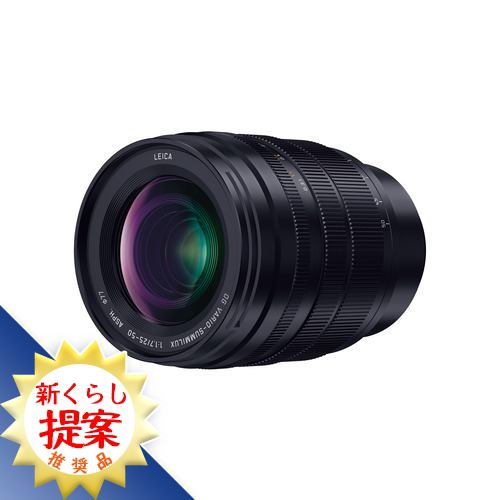 パナソニック H-X2550 デジタル一眼カメラ用交換レンズ HX2550