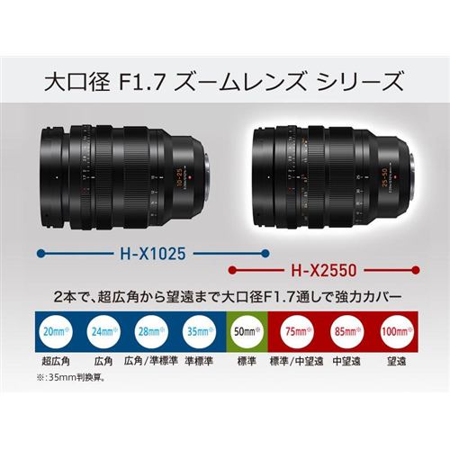 パナソニック H-X2550 デジタル一眼カメラ用交換レンズ HX2550
