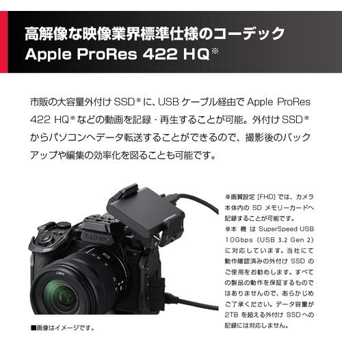 推奨品】Panasonic DC-S5M2X LUMIX S5IIX ミラーレス一眼カメラ ボディ