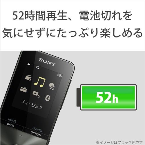 ソニー NW-S313K-PI ウォークマン Sシリーズ[メモリータイプ] 4GB 