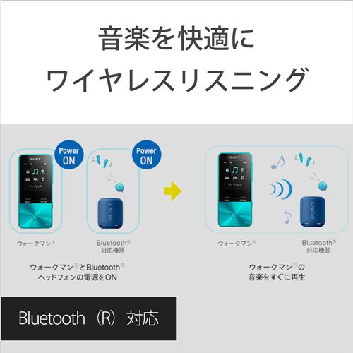 ソニー NW-S313-L ウォークマン Sシリーズ[メモリータイプ] 4GB ブルー
