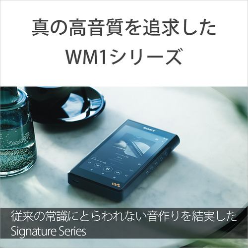 ソニー NW-WM1AM2 ハイレゾ音源対応ウォークマン WM1シリーズ Signature Series 128GB ブラック