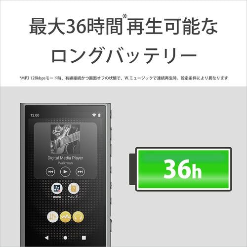 【美品】SONY Walkman NW-A55 ハイレゾミュージックプレイヤー