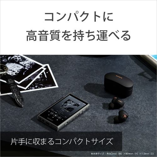【推奨品】ソニー NW-A306 L ウォークマン ハイレゾ音源対応