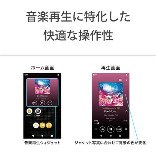 推奨品】ソニー NW-A307 B ウォークマン ハイレゾ音源対応 WALKMAN