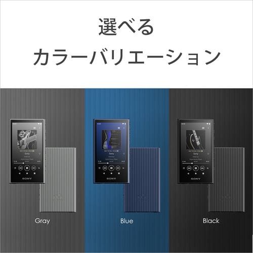 【推奨品】ソニー NW-A307 H ウォークマン ハイレゾ音源対応 WALKMAN A300シリーズ 64GB グレー