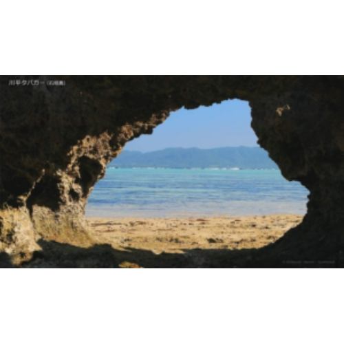 【DVD】シンフォレストDVD　波音サラウンド　沖縄ベストビーチ(宮古・八重山)　Ocean　Waves　Relaxation　in　Okinawa