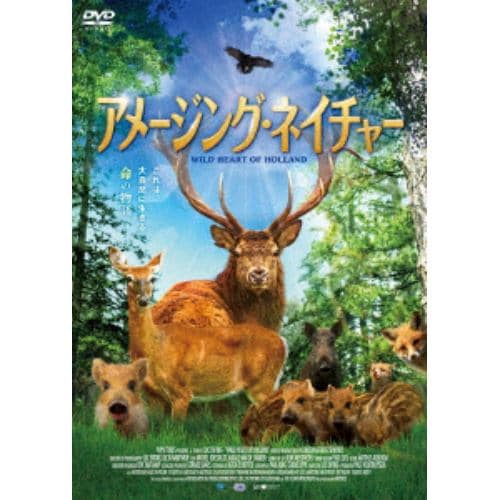 【DVD】アメージング・ネイチャー