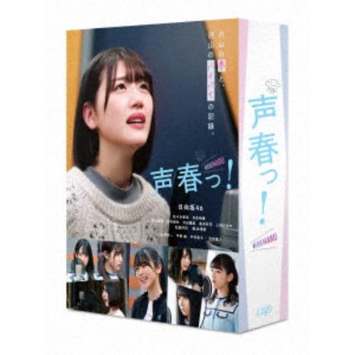 【DVD】声春っ! DVD-BOX