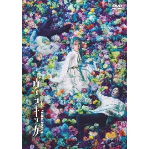 【DVD】ミュージカル『ヴェラキッカ』(通常版)