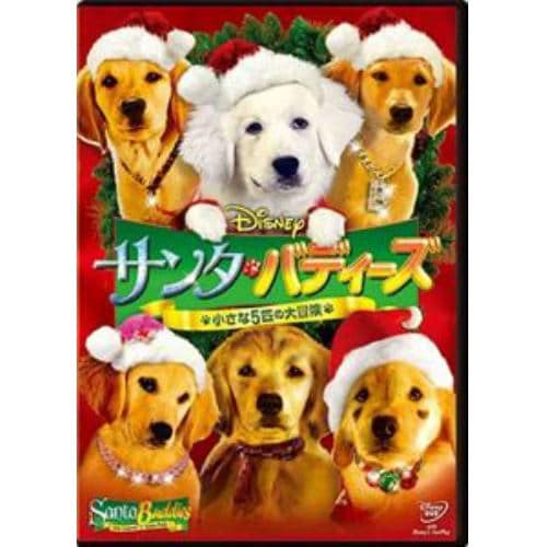 【DVD】サンタ・バディーズ 小さな5匹の大冒険