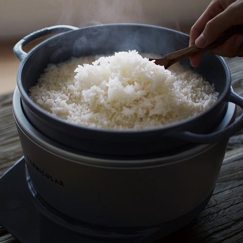 バーミキュラ RP23ASV VERMICULAR RICEPOT ライスポット