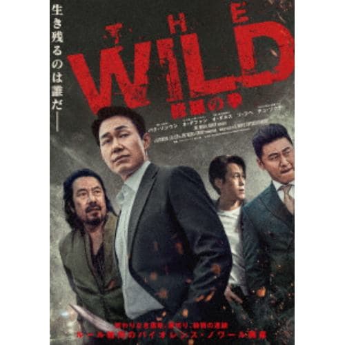 【DVD】The WILD 修羅の拳 DVD