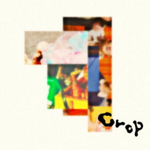 【CD】オレンジスパイニクラブ ／ Crop