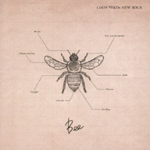 【CD】COCO NEEDs NEW ROCK ／ Bee