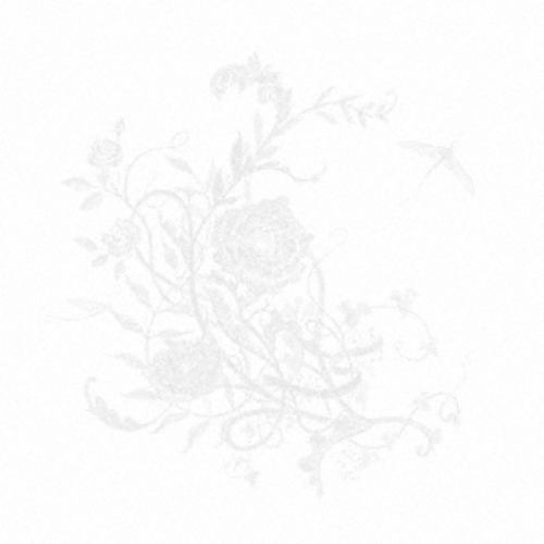 【CD】Aimer ／ 白色蜉蝣(通常盤)