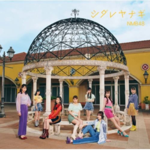 【CD】NMB48 ／ シダレヤナギ(通常盤Type-C)(DVD付)