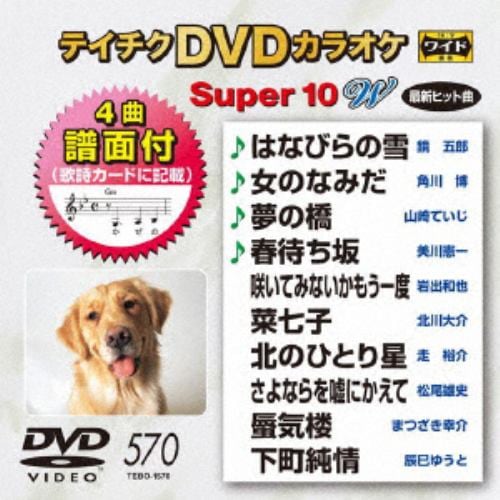 DVD】 DVDカラオケ ／ 飛騨川恋唄／越後雪歌／花嫁峠／兄妹峠 | ヤマダウェブコム