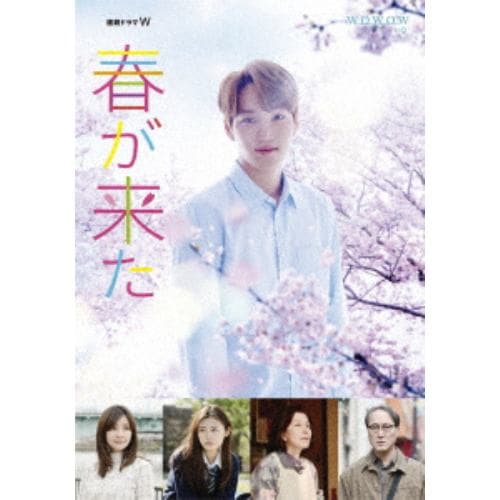 【DVD】連続ドラマW 春が来た DVD-BOX