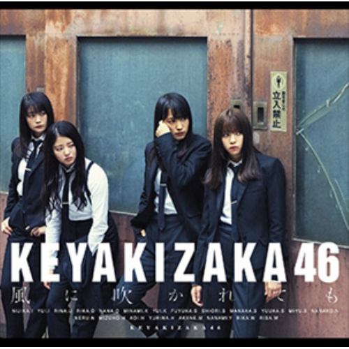 【CD】欅坂46 ／ 風に吹かれても(TYPE-B)(DVD付)