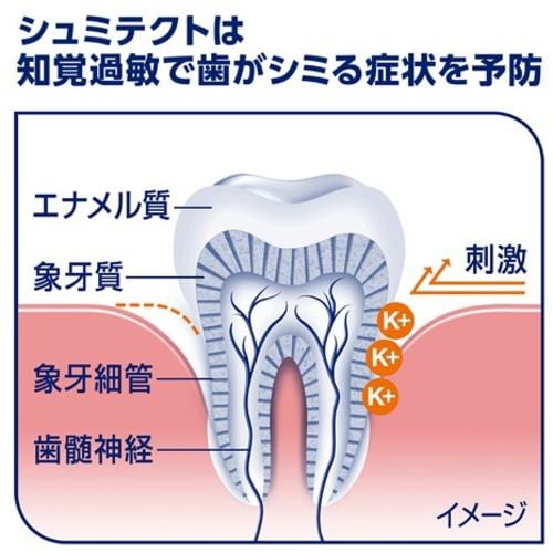 アース製薬　シュミテクト　歯周病ケア　90g　10個