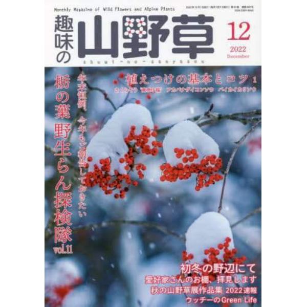 趣味の山野草　２０２２年１２月号