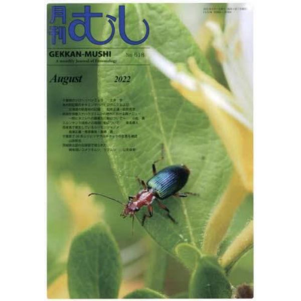 月刊むし　２０２２年８月号