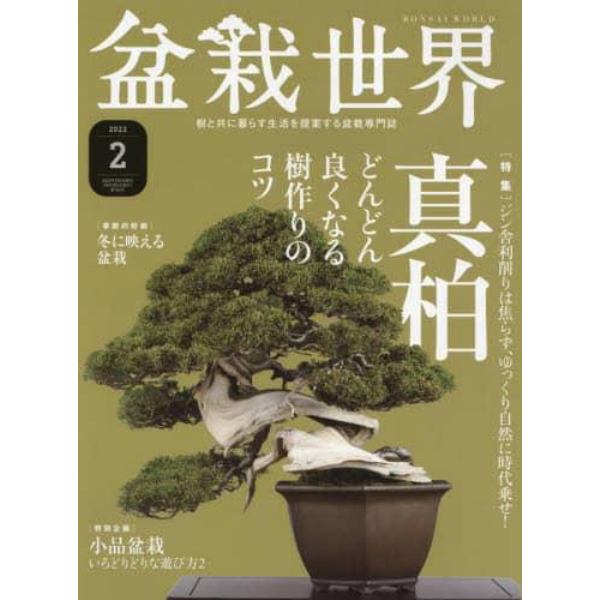 盆栽世界　２０２２年２月号