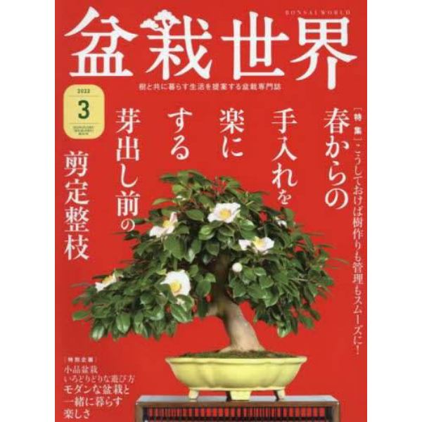 盆栽世界　２０２２年３月号