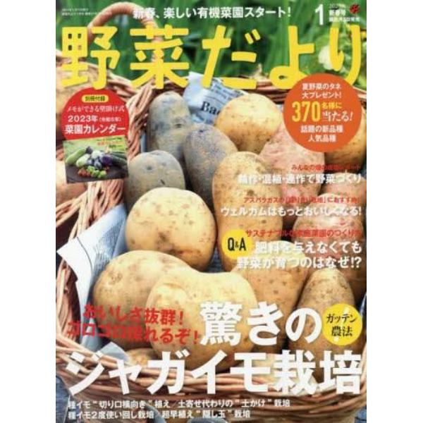 野菜だより　２０２３年１月号