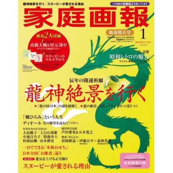 家庭画報プレミアムライト版２０２４年１月号　２０２４年１月号　家庭画報増刊