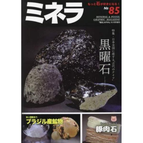 ミネラ（８５）　２０２３年１０月号　園芸Ｊａｐａｎ増