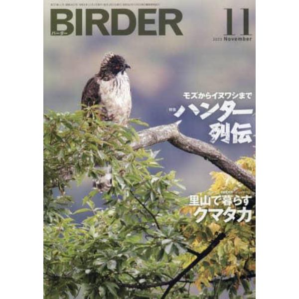 ＢＩＲＤＥＲ　２０２３年１１月号