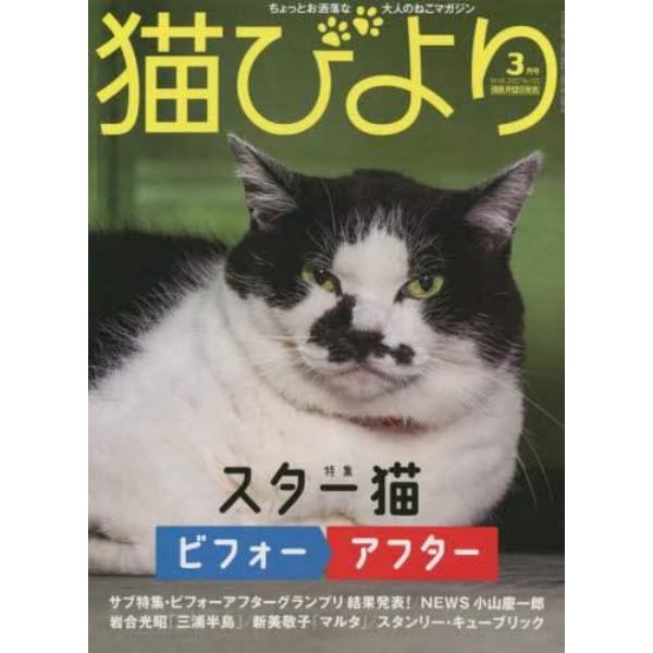 猫びより　２０２２年３月号