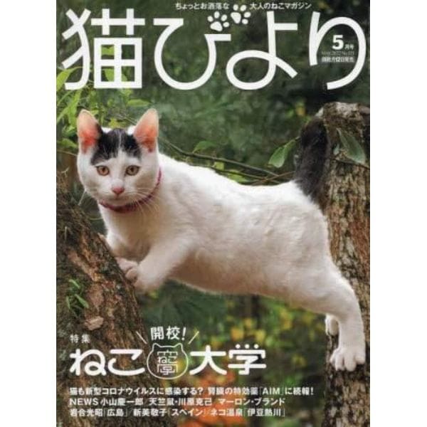 猫びより　２０２２年５月号