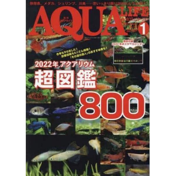 月刊アクアライフ　２０２２年１月号