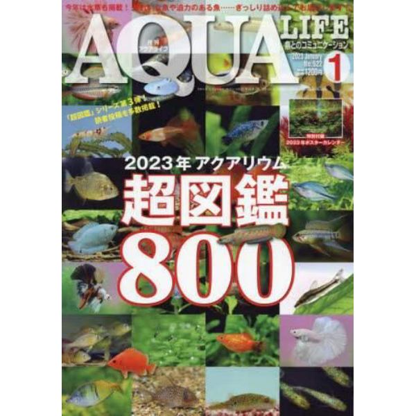 月刊アクアライフ　２０２３年１月号