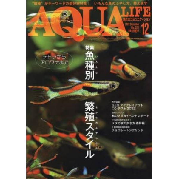 月刊アクアライフ　２０２２年１２月号