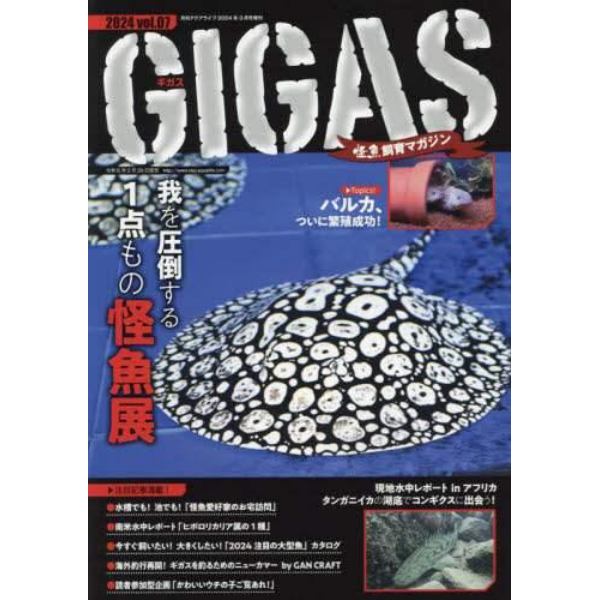 怪魚飼育マガジンＧＩＧＡＳ（７）　２０２４年３月号　月刊アクアライフ増刊