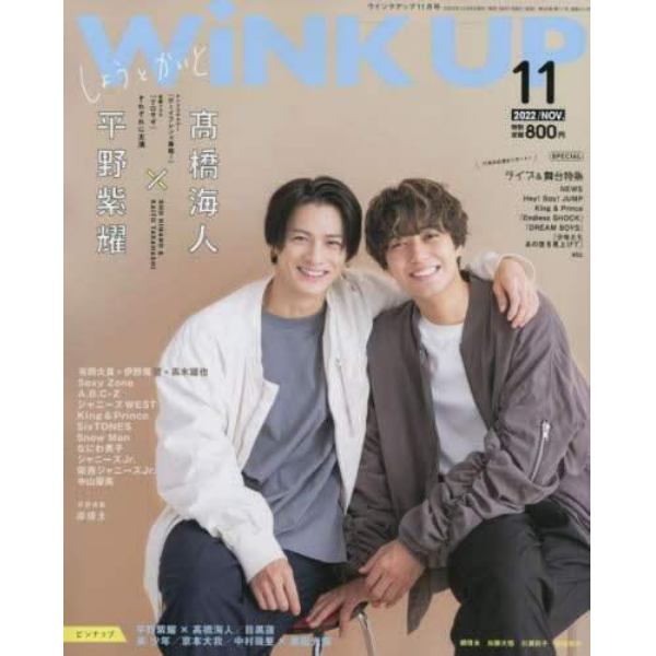 ＷＩＮＫ　ＵＰ（ウインクアップ）　２０２２年１１月号