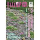 趣味の山野草　２０２３年７月号