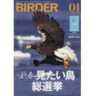 ＢＩＲＤＥＲ　２０２２年１月号