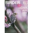 ＢＩＲＤＥＲ　２０２２年３月号